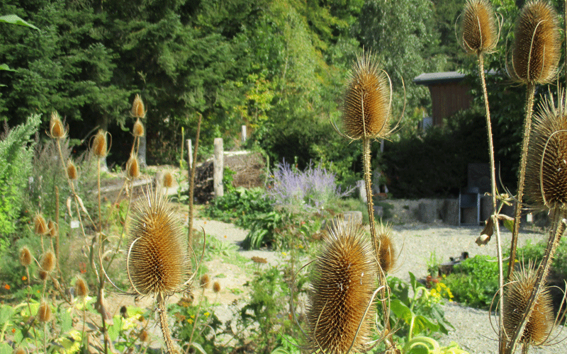 Kräutergarten