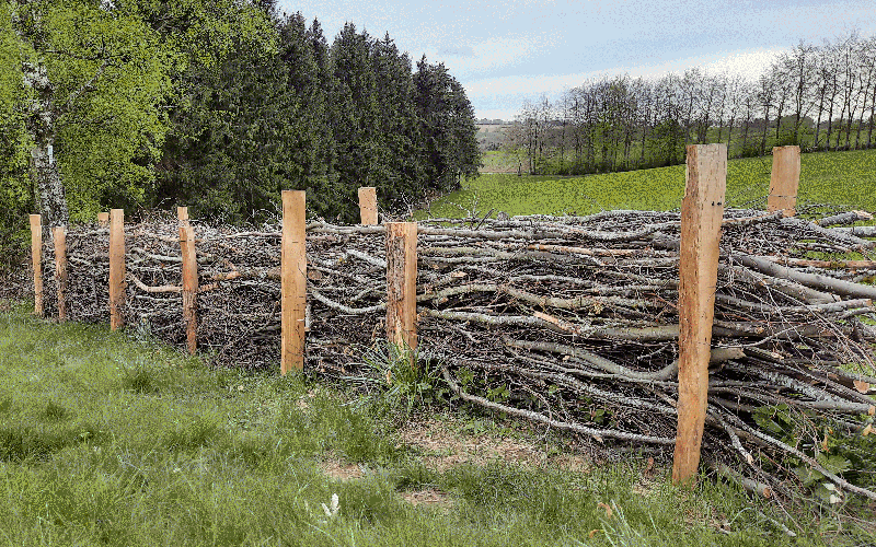 alternative Verwendung Baumschnitt